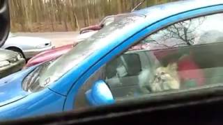 Lick-Ems Girl French Kissing Dog