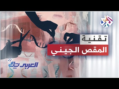 فيديو: صدى شومان ، شيء غامض يحدث