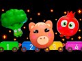 🍓 Dança das Frutas: Vídeo Sensorial para Bebês | Frutinhas Divertidas – Mundo Sensorial do Bebê 🍉🚌🌟