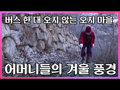 추워지면 더 생각나는 혼자 남은 우리 엄마 어머니들의 겨울 풍경 I KBS 2017 01 27 신년특집 다큐