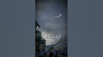 تلاوة خاشعة لسورة الاخلاص بصوت القارئ عامر السعيدي🎧 #سورة_الإخلاص #عامر_السعيدي #القارئ_عامر_السعيدي
