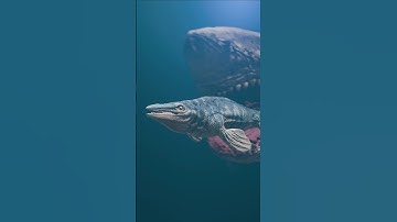 Who would eat who? Megalodon vs Mosasaurus