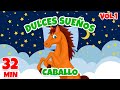 Buenos sueos caballo vol 1  giramille 32 min  cancin para nios