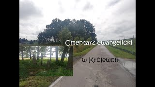 Królewiec - cmentarz ewangelicki (powiat miński)