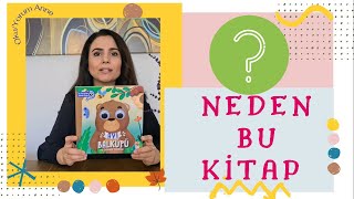 Ayı Balküpü Ve Sevimli Dostları ~ Bu Kocaman Gözler Kimin ~ Çocuk Kitabı Analizi