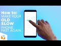 How To Get RICH FAST & EASY In Adopt Me ... - YouTube