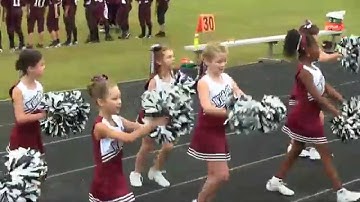 Adobe Pemiere Elements 11 Instant Movie Test.