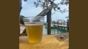 Turtles All The Way Down