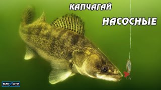 Глубина 23 метра, ПОКАЗАЛ все СЕКРЕТЫ. РЫБАЛКА на СУДАКА на ВОДОХРАНИЛИЩЕ КАПЧАГАЙ Зимний  #MixEreke