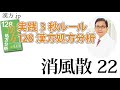 【漢方.JP】消風散22〜実践3秒ルール 128漢方処方分析【新見正則が解説】