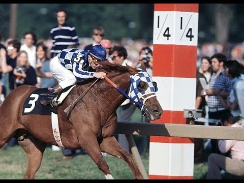 Video: Klub trostrukih kruna: 3 legende o džokejima ispričati njihove povijesne pobjede u Belmontu