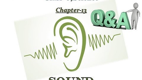 Questions & Answers of Class 8- Science: Chapter -13, Sound