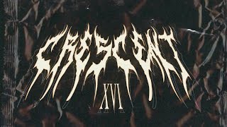 Teamtage 16