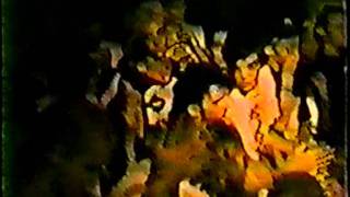 Youth of Today - Houston, Texas 8.88