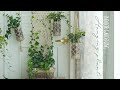 아이비넝쿨 만들기, 마크라메 그물망, 페트병 행잉플랜트 : Ivy vines,  Hanging Plant, PET bottle Recycle, jute Macramé