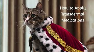 How to apply Transdermal Medications