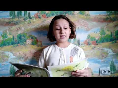 «Сказка на ночь» Русская народная сказка «Репка» – читает Белла Костромитина
