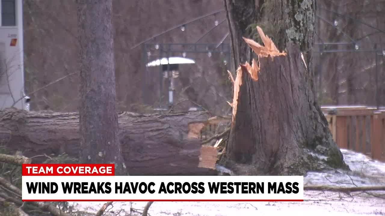 Fallen trees and power lines lead to power outages, road closures in ...