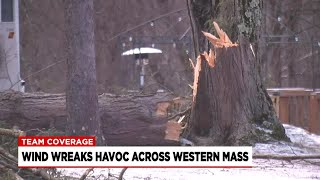 Fallen trees and power lines lead to power outages, road closures in local towns