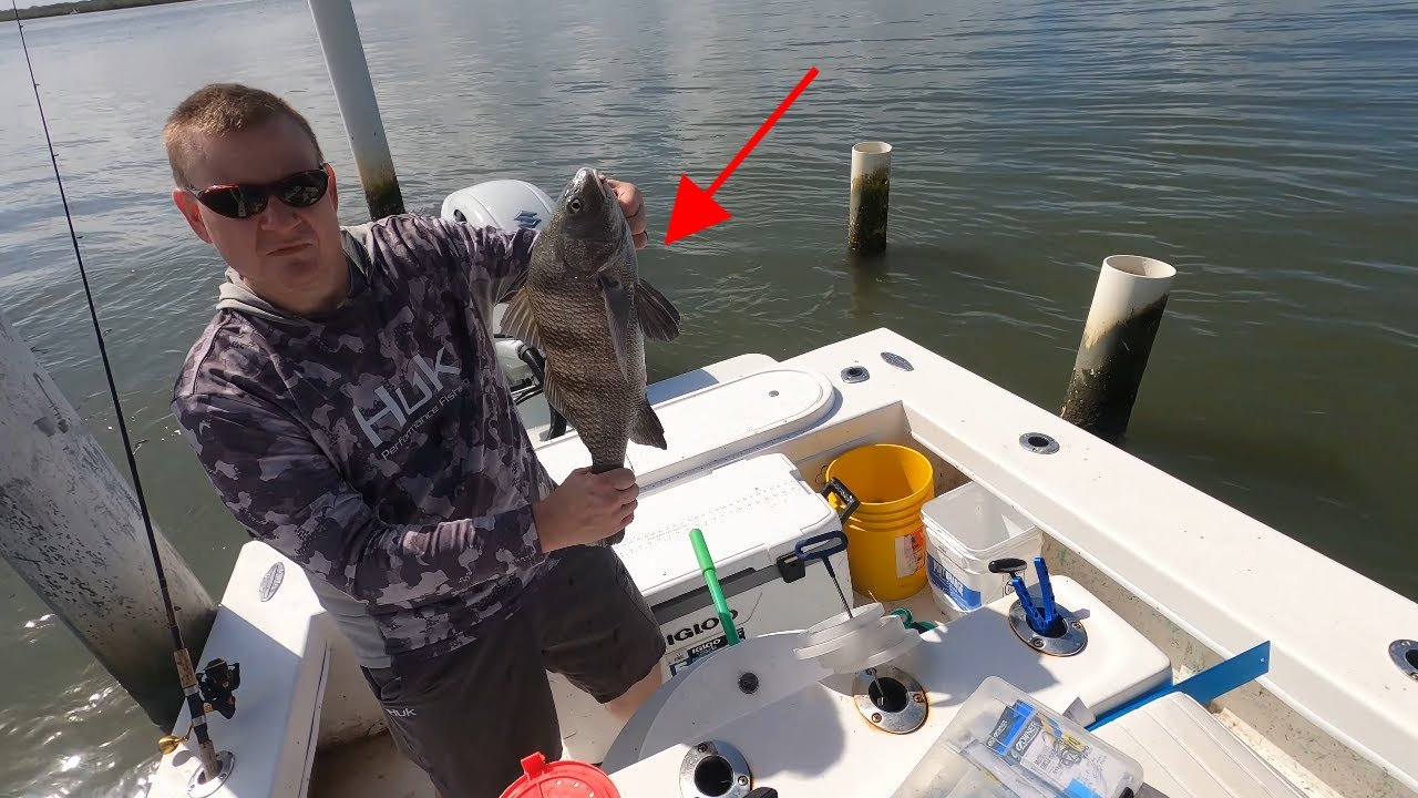 The Weather change brings in some tough fishing conditions ** 2 days fishing for Black Drum