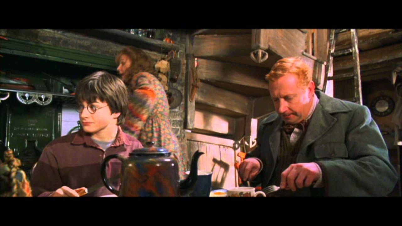 Harry Potter And The Chamber Of Secrets Harry S First Time At