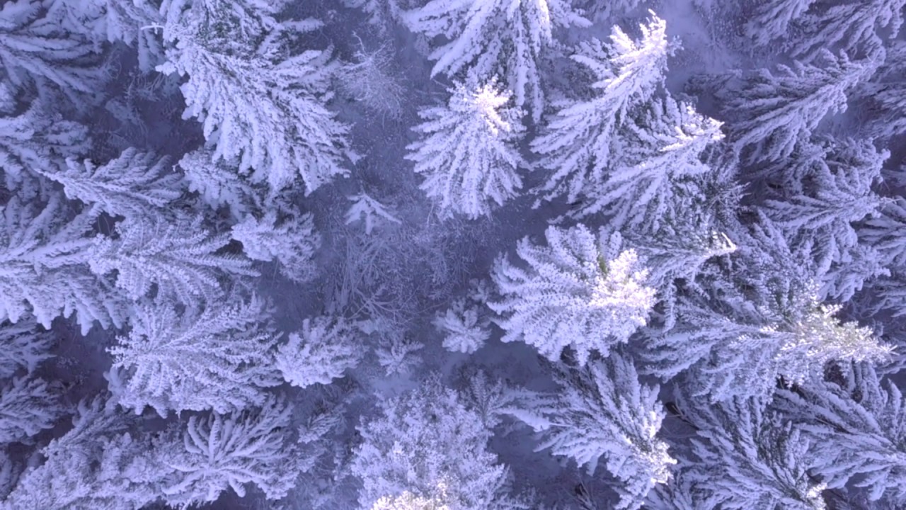 Watch YAMBI - Lauf on YouTube Watch YAMBI - Lauf on YouTube