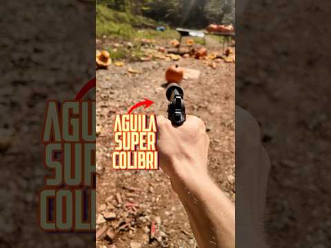 Weak 22lr Vs Powerful 22lr