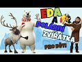 Polární zvířátka pro děti | Divoká zvířata - 2 díl | vzdělávací video pro děti