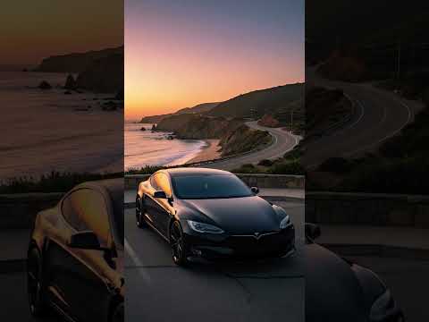 Tesla Gang Scenic View
