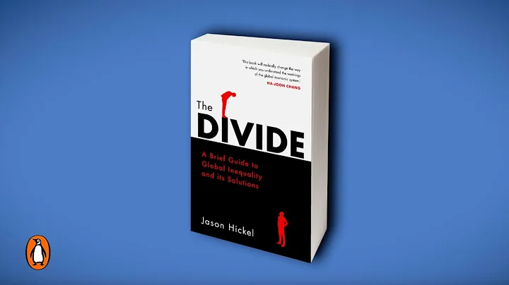 The Divide: Global Wealth Inequality Explained | D...