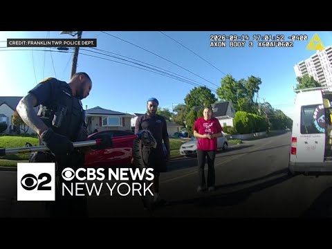 Video shows police removing python from grill of car in New Jersey