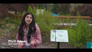 World Relief's Paradise Gardens | Stormwater Solutions