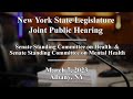 New York State Senate Joint Public Hearing - 03/07/23
