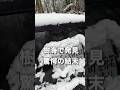 行方不明者捜索の闇…切ない現実…樹海の放置車両が泣いている