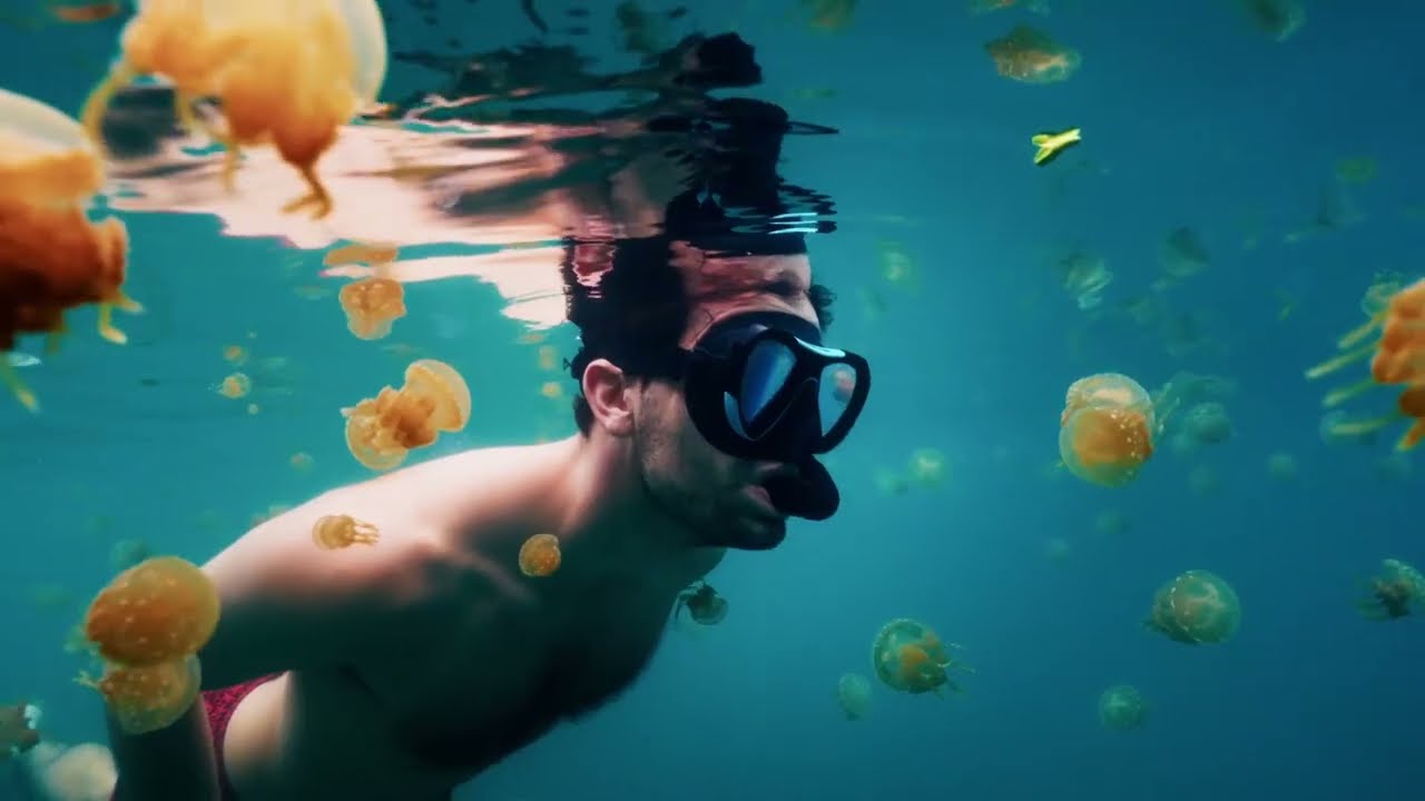 ⁣Sailing Raja Ampat with Jakaré Liveaboard & Exploring Indonesia’s Most Beautiful Reefs