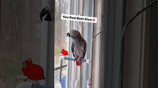 Symon Says Red Butt Chicken