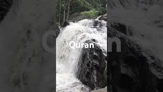 Surah Nisa ayat 155 Urdu translation