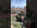 You NEED to find this best kept secret of Cars Land!!