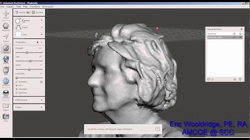 0125D - The Additive Guru, using Meshmixer to edit 3D selfie scans
