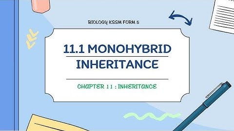 BIOLOGY KSSM FORM 5 : 11.1 MONOHYBRID INHERITANCE