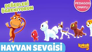 Hayvanlar İçin Şarkılar 🎶 🐱 Hayvan Sevgi̇si̇ | Değerleri Öğreniyorum | Pedagog Onaylı Çizgi Film