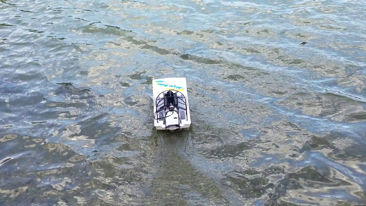 Hobby King Swamp Dawg