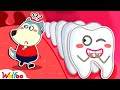 Where're Wolfoo's Tooth Hiding? - Wolfoo Learns Healthy Habits for Kids | Wolfoo Family Kids Cartoon