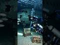 #marinemystery #residentevilvillage #deepsea #scary #history found lot of items under deep sea