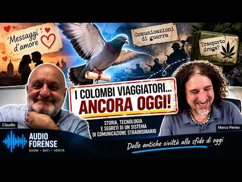 Video Marco Perino e Claudio Debernardi - I Colombi Viaggiatori, dai messaggi di guerra… alle gare!