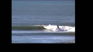Outside Fourmile & Rubbish Tip Surf