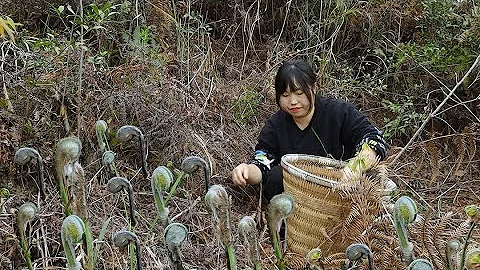 Ferns 和朋友上山採些蕨菜，回家做成蕨菜湯和泡椒蕨菜，鮮美過癮！【余小鄉】 - 天天要聞