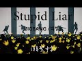 《愛情騙子》BIGBANG (빅뱅) - Stupid Liar (韓繁中字) lyrics
