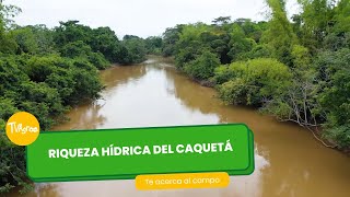 Riqueza Hídrica del Caquetá- TvAgro por Juan Gonzalo Angel Restrepo