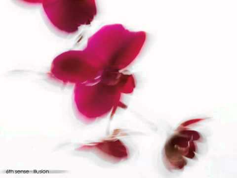 6th Sense — 6th sense - Illusion